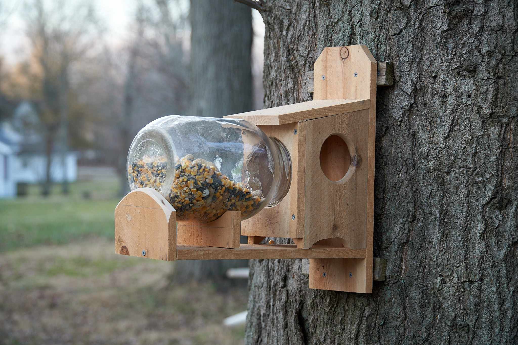 Squirrel Feeder