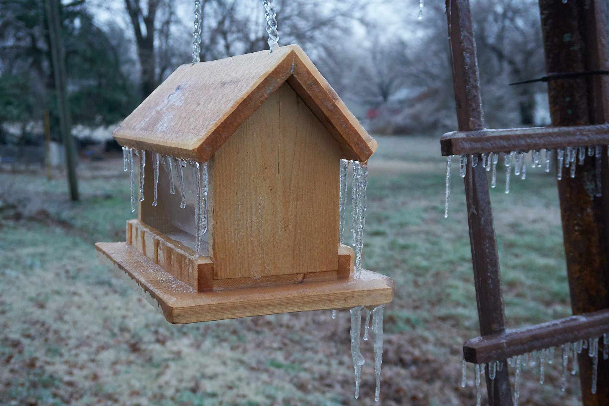 Bird feeder covered in ice