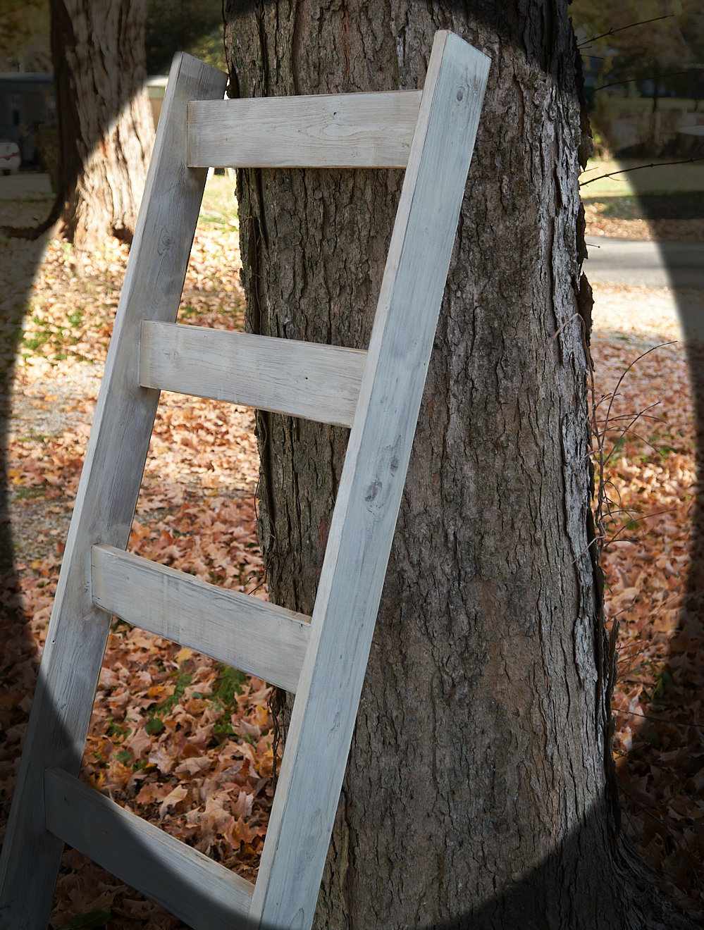 Faux Aged Ladder